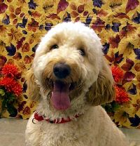Lola K Thanks 10.jpg